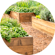 Horta comunitária
compartilhada